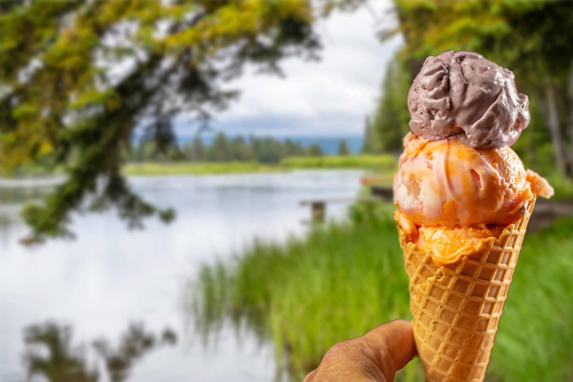 Springhill Suites Island Park Yellowstone Εξωτερικό φωτογραφία